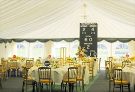 Full view of cricket themed marquee