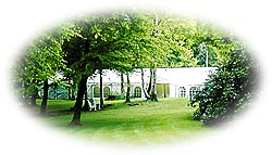 Wedding marquee in a grove