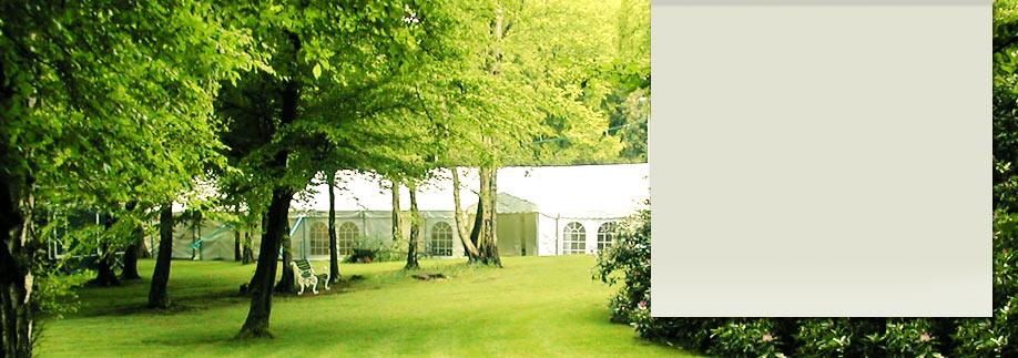 Marquee in a sylvan setting