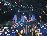 Themed marquee party