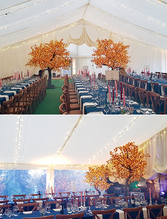 Marquee with orange leaved trees for decoration