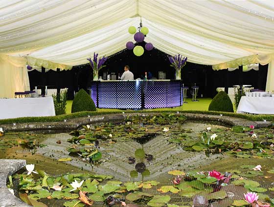 Party marquee using natural features