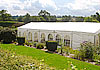 Marquee built round a garden with many plants