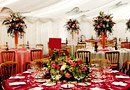 Pink marquees