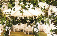 Traditional wedding marquee with lilies