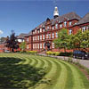 Alleyn's