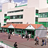 Brighton Racecourse