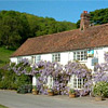 The Fish House