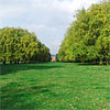 Meadows Farm