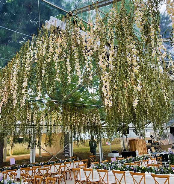 Hanging greenery in transparent marquee, Marlow