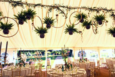 A Lakeside Marquee