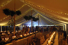Wedding in a Traditional Tent