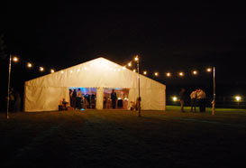 Festoon lighting