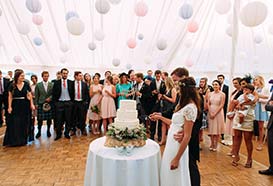 Cutting the wedding cake