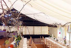 Fairy lights attached to branches on marquee roof
