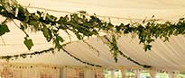 Traditional marquee