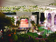 Steeply sloping marquee