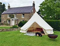 Bell tent with dog