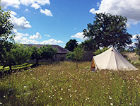 Bell tent in a field