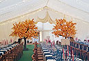 Trees inside marquees
