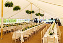 Wedding marquee 2020s style