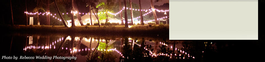 Large garden party with a marquee